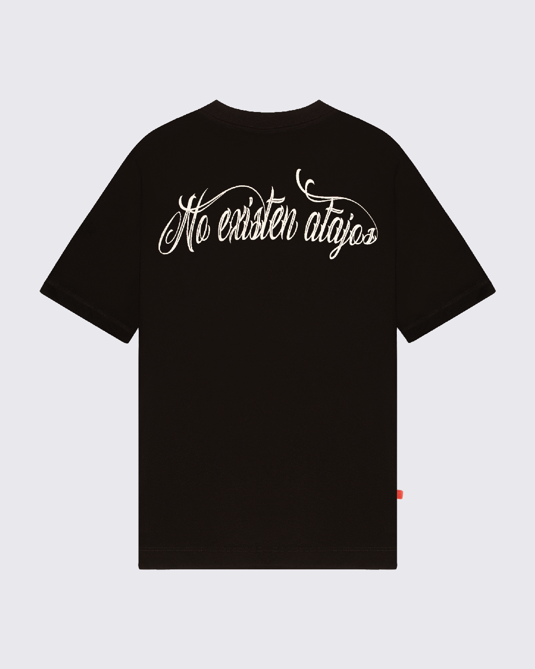 CAMISETA OVERSIZE CHANGES NEGRO NEA