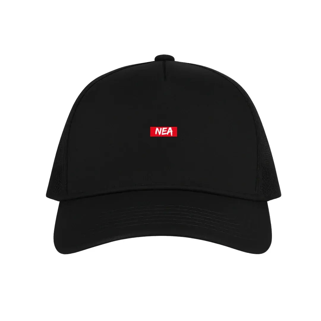 DRE GORRA NEGRA NEA