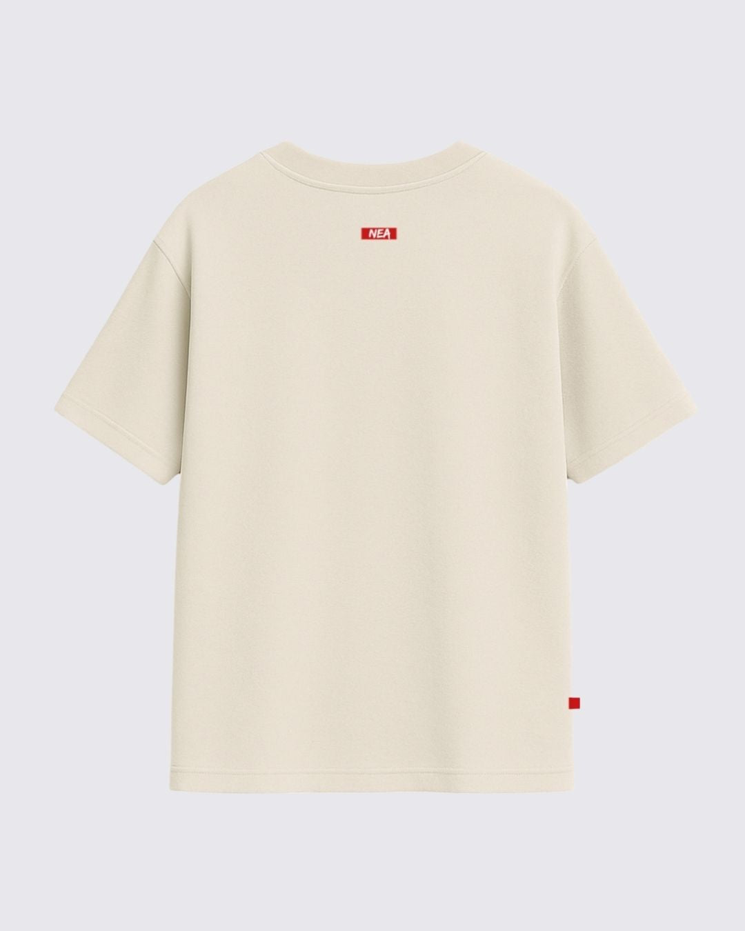 SWAG CAMISETA OVERSIZE ARENA NEA