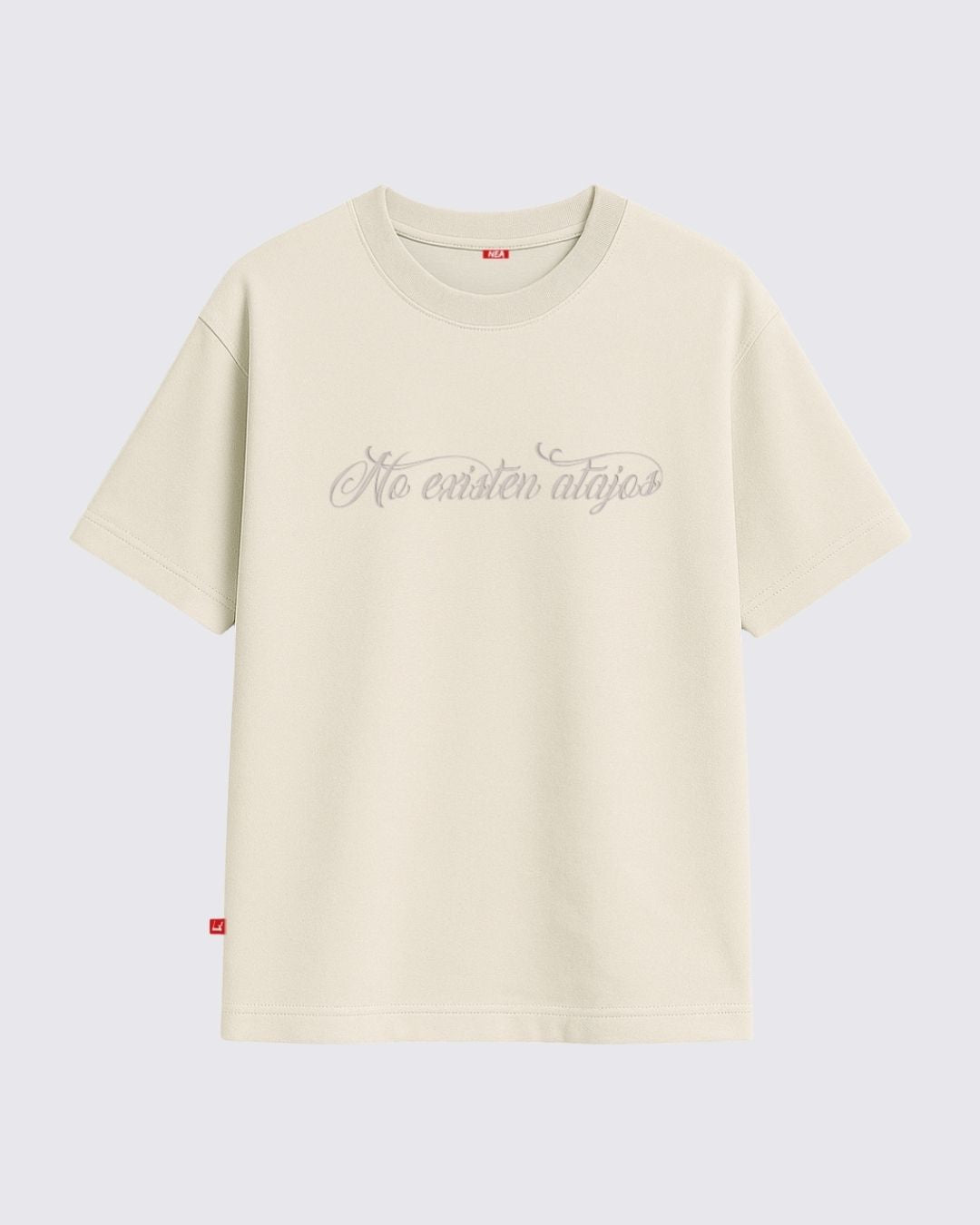 SWAG CAMISETA OVERSIZE ARENA NEA